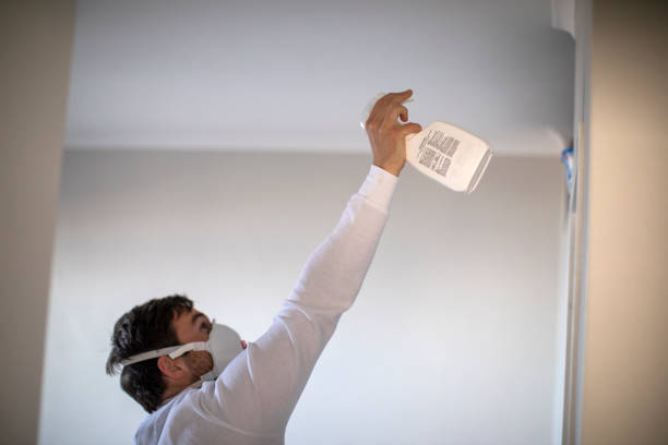 Best Certified Mold Removal  in Jenkins, KY