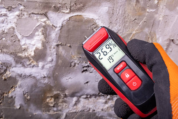 Best Mold Inspection  in Jenkins, KY