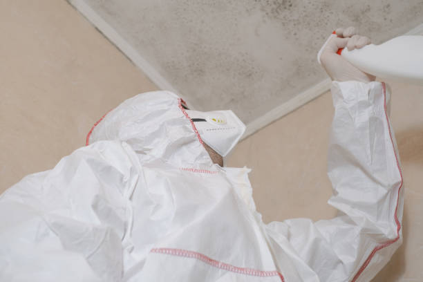 Best Attic Mold Removal  in Jenkins, KY